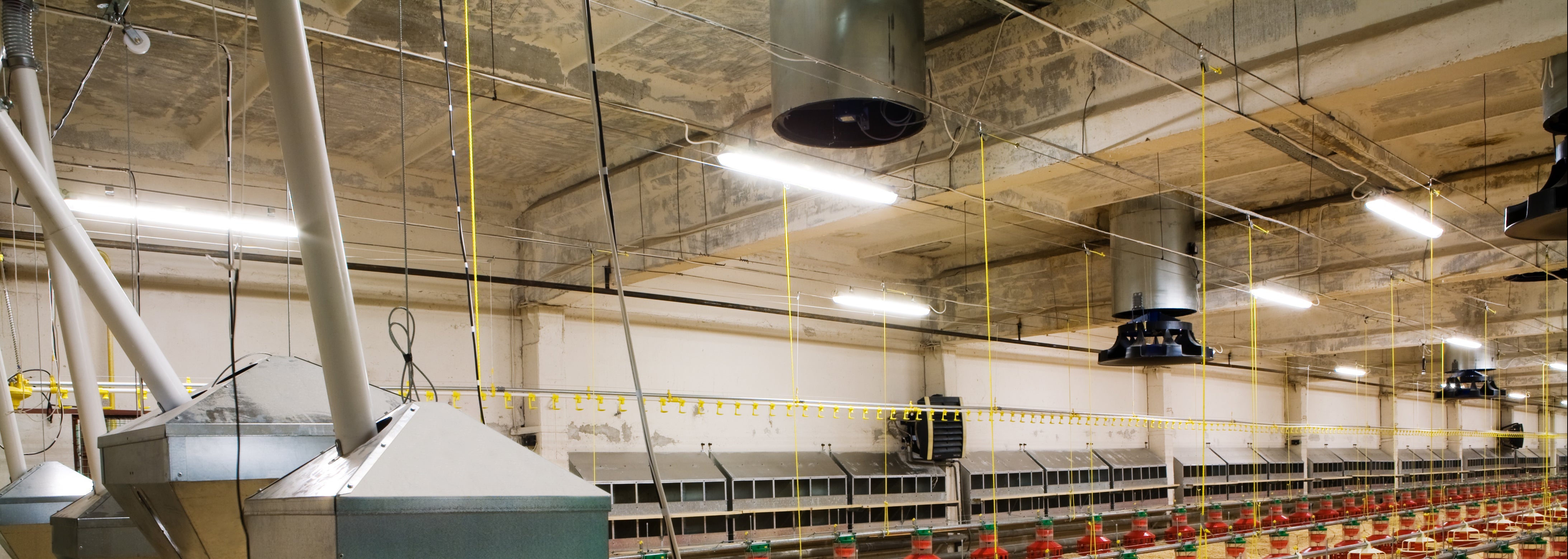 Lumen Max Collection | Lumen Right – Lumen Right LED